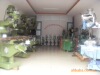 ��Ӧ����ҡ��ϳ��