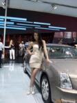 ���ڳ�չ ��Ӧչ����� չ����� ר�����������