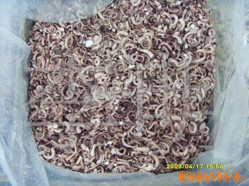 厂家批发供应海鲜冷冻水产品章鱼梢（章鱼的尾尖部分）