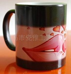 特价批发热转印磨砂变色杯 神奇变色杯 感温变色杯子