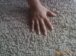 ��Ӧѩ���   ����