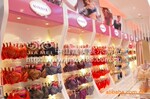 ��Ӧ�ߵ�����ר���������ר���� չʾ�� չʾ�� �е��� չʾ̨