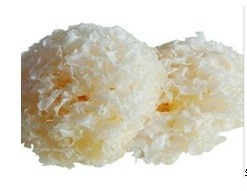 低价促销高效纯植物美白祛斑精华原液