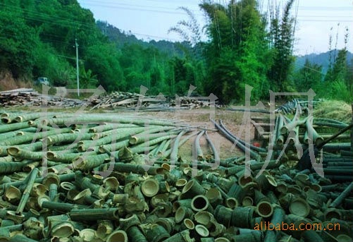 批发采购牙签、牙线-家居\/生活用品\/货源 \/牙签