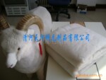 ��Ӧ���ֵ������ޱ���Ƭ ��װ��������Ƭ