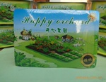 开心果园黄瓜 小盆景盆栽DIY园艺 环保生态玩具 厂家直销