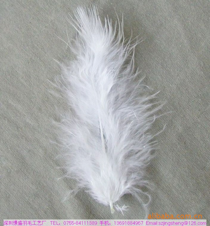 供应价格优惠染色鹅毛 漂白羽毛图片,供应价格