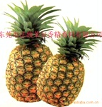 菠萝香精(适用玩具、文具、洗洁精、空清、蜡烛等)