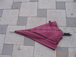 易拉收高尔夫伞/高档春节赠品伞/员工福利礼品/广告促销礼品/积分