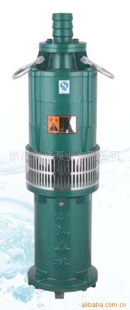 油浸式潜水电泵.jpg1