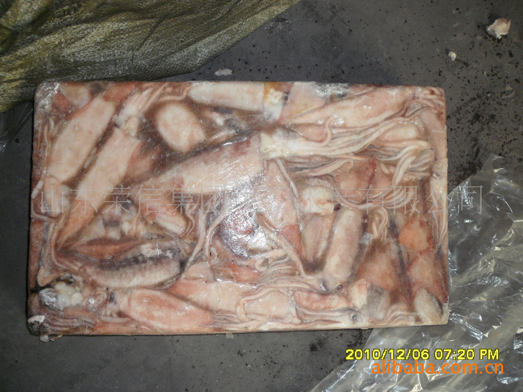 供应海鲜黄海产天然海扑水产冷冻品鱿鱼