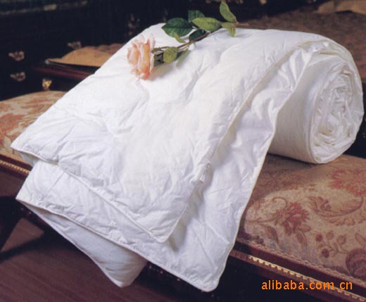蚕丝被-图片1