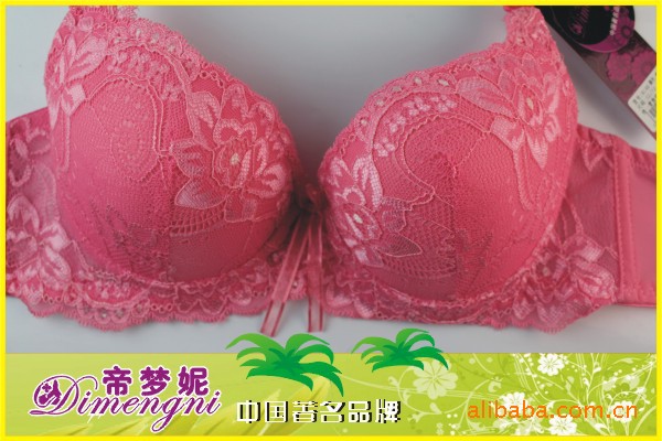 帝梦妮绣花蕾丝<em>文胸</em>/全棉<em>文胸</em>/美体<em>丰胸</em>型819