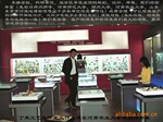 供应教学标本 科研标本 昆虫展品 蝴蝶展展品