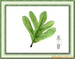 供应丝网花配叶,牡丹叶