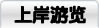 上岸游览