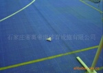 ��Ӧ��ë��ذ� �˶��ذ峧�� ʮ���������з�����