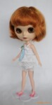 ��Ӧ�ܽ����� �½�С������ �۾���ɫ���ޣ�Blythe��
