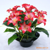 批发供应花束 绢花 仿真花人造花 塑料花 仿真植物-梦幻花艺