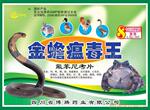 ��Ӧ��ҩ����������������������Ѫ������������ð��