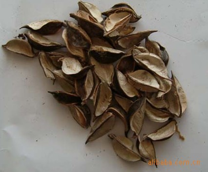 【棉花壳 产地直销 棉花壳 大量供应】价格,厂家,图片,,安徽腾飞贸易有限公司-马可波罗网