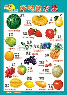 幼儿认字!中英文,动物水果数字!