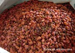 ����������è��ҩ��������1000g