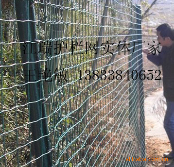 ������ ����������