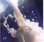 ��ζ�㾫ϵ�� ���ֱ����ζ ������������ӭ������ѯ��