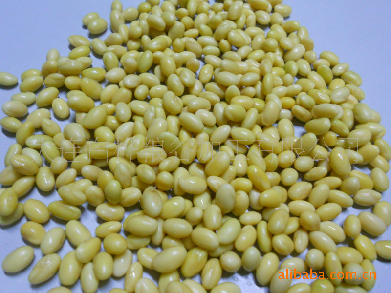 【690芽豆 供应发芽用 髙芽率东农发芽大豆 黄大豆】价格,批发,供应商