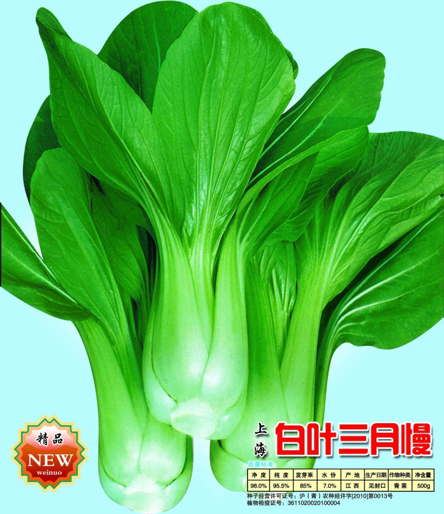 长期供应优质农作物种子蔬菜种子伟诺百叶三月