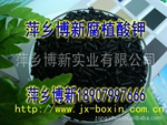 ��Ӧ������ֲ���|��ֳ���