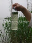 人工湿地蓝藻污染治理技术