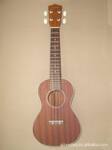 ��Ӧ�ȸ�����UKULELE 24��С����