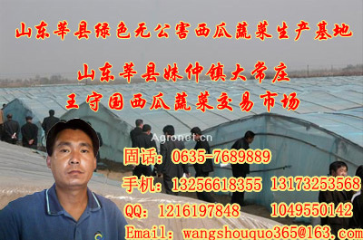 <em>山东莘县妹冢</em>镇大常庄王守国西瓜蔬菜交易市场