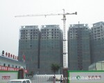 供应6t 塔式起重机 TC6013