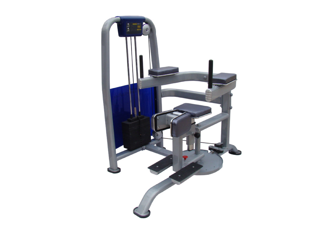 【香港天澍 健身房专业训练器 扭腰训练器 TS-