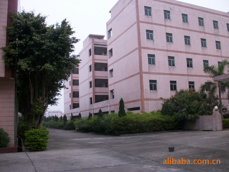 桥头标准工业园厂房出租 形象漂亮 有绿化带 水