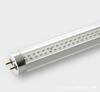 ��Ӧ  T5 LED  ���� �ƹ�