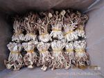 批发供应扎把系列5公斤干货茶树菇(图)