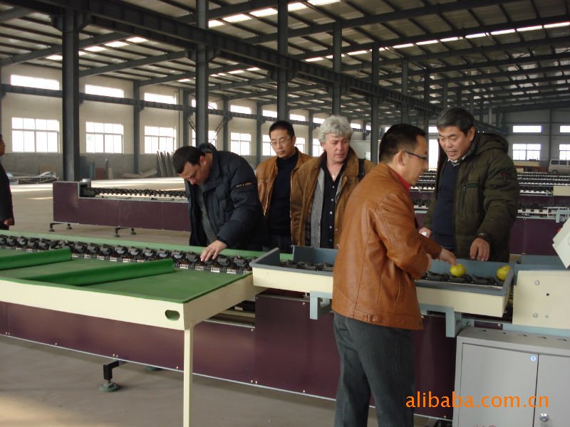 【水果重量分选机\/ 苹果脐橙分等级】