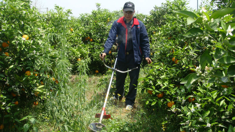广西桂林骏驰农业机械小型微耕机图片,广西桂