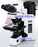 BX51-OLYMPUS���ְ�˹���ý�����΢��