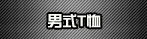 ��ʽt��