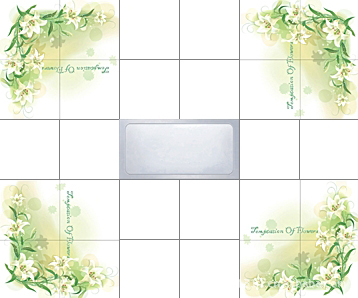 珠光白  春暖花香1.5-1.8