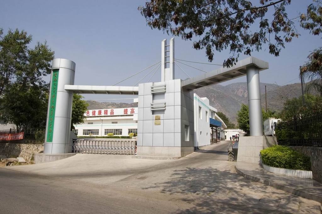 蘆薈膠囊 可貼牌生產(chǎn)銷(xiāo)售 植物提取物 保健品原料 蘆薈提取物