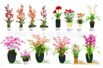 仿真花。鲜花。假花。盆栽,植物。
