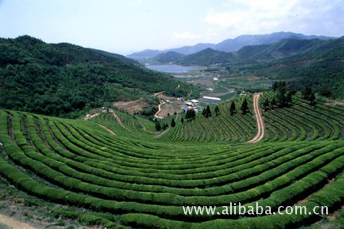 【毛蟹王 产地直销!25一斤!】价格,厂家,图片,乌