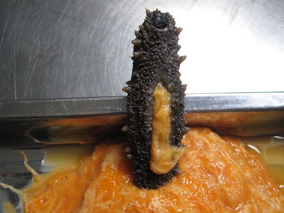 海参肠卵(海参花、海参籽)--滋补极品_dxhaish