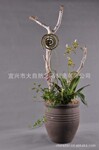 【新品上市】供应多种质量保证的 陶瓷花盆